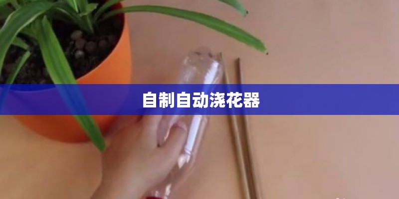自制自动浇花器