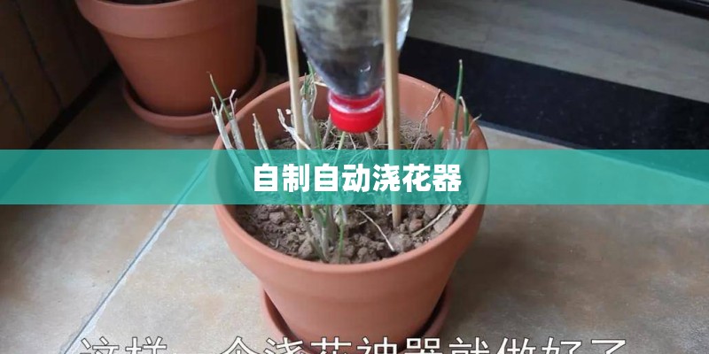 自制自动浇花器