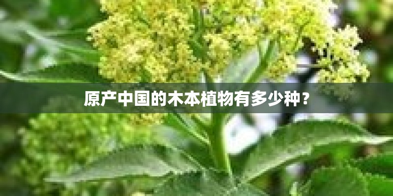 原产中国的木本植物有多少种？