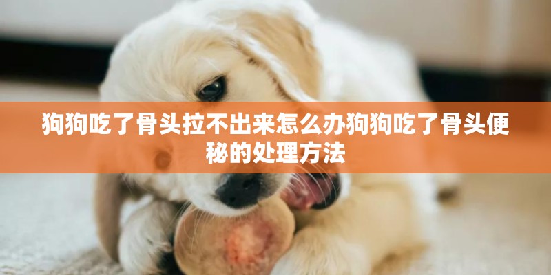 狗狗吃了骨头拉不出来怎么办狗狗吃了骨头便秘的处理方法