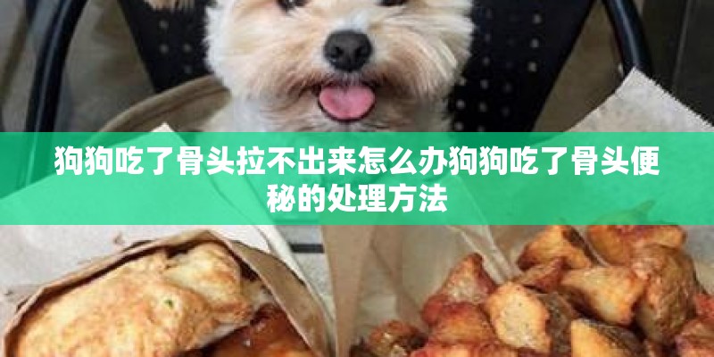 狗狗吃了骨头拉不出来怎么办狗狗吃了骨头便秘的处理方法