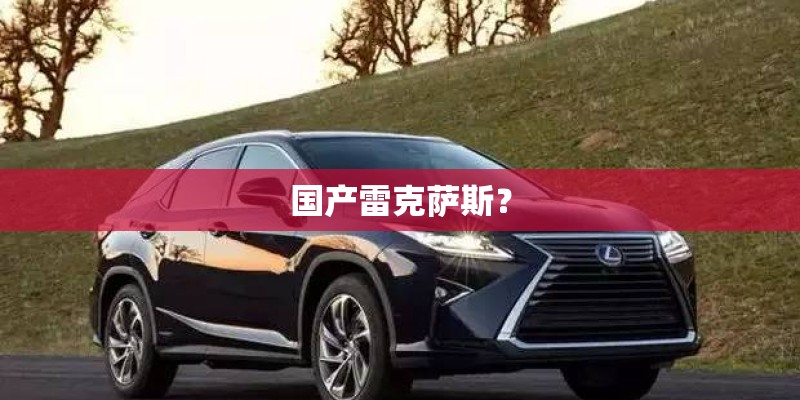 国产雷克萨斯？
