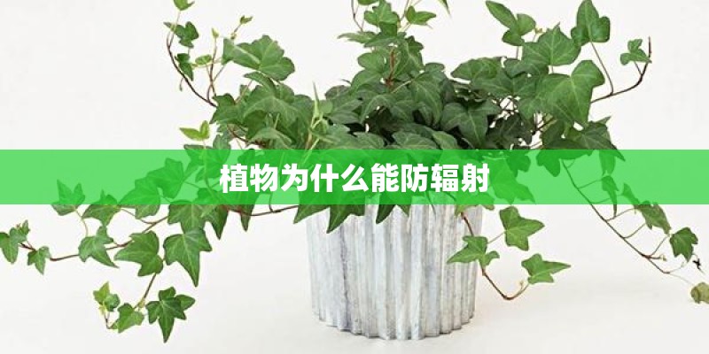 植物为什么能防辐射