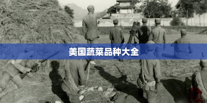 美国蔬菜品种大全