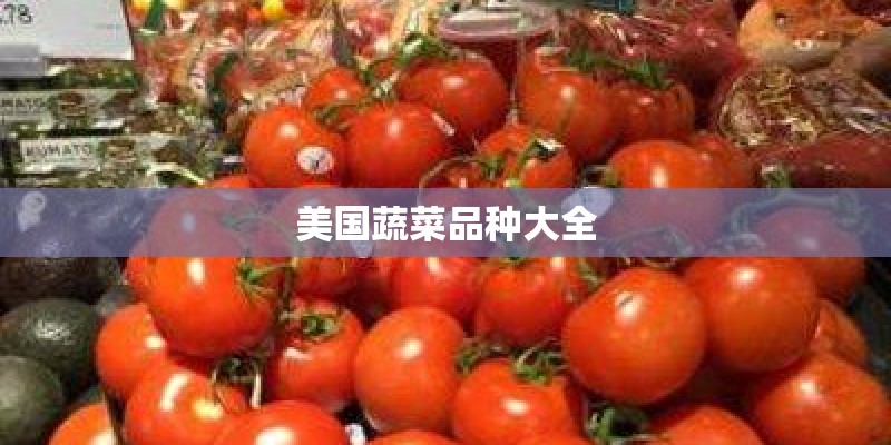 美国蔬菜品种大全