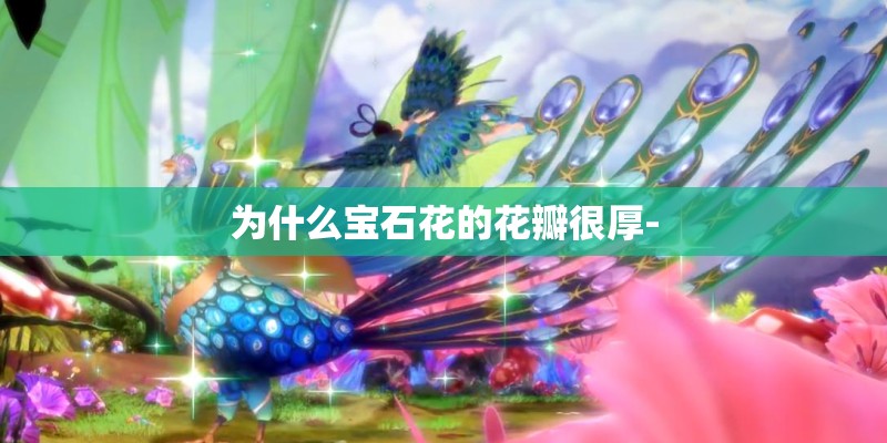 为什么宝石花的花瓣很厚-