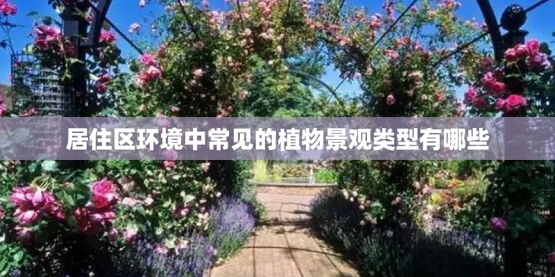 居住区环境中常见的植物景观类型有哪些