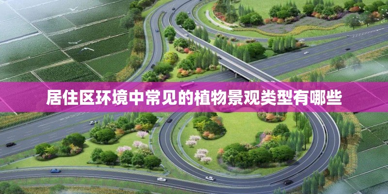 居住区环境中常见的植物景观类型有哪些