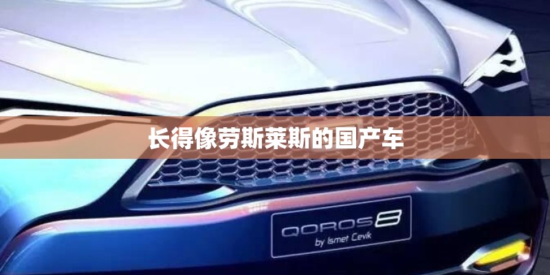 长得像劳斯莱斯的国产车
