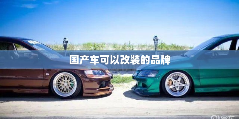 国产车可以改装的品牌