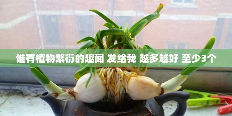 谁有植物繁衍的趣闻 发给我 越多越好 至少3个