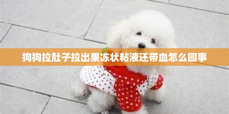 狗狗拉肚子拉出果冻状粘液还带血怎么回事