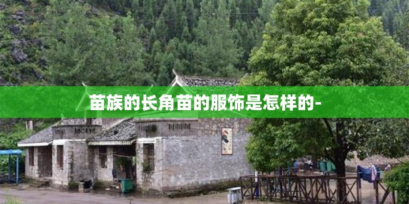 苗族的长角苗的服饰是怎样的-