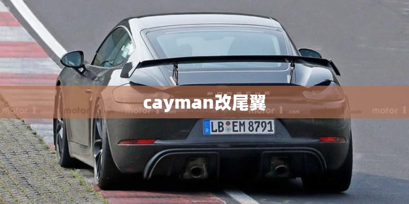 cayman改尾翼