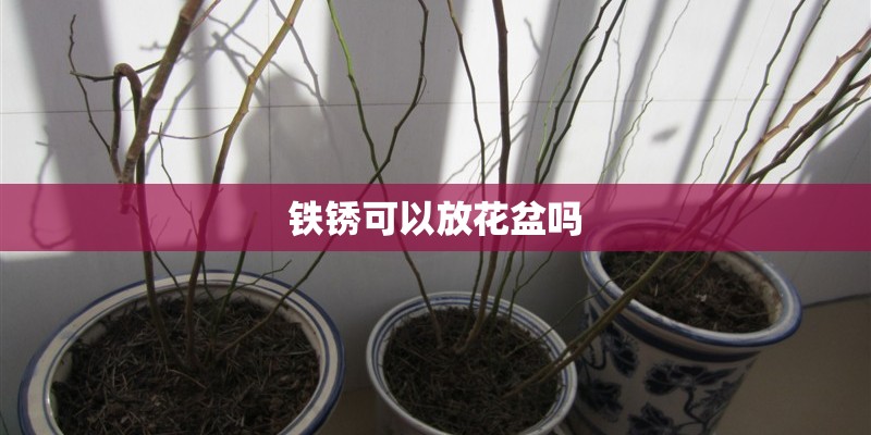 铁锈可以放花盆吗