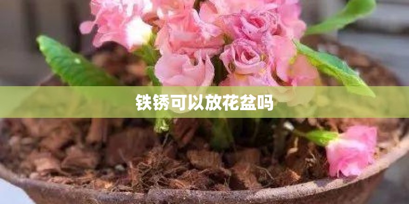 铁锈可以放花盆吗
