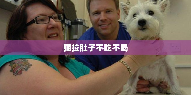 猫拉肚子不吃不喝