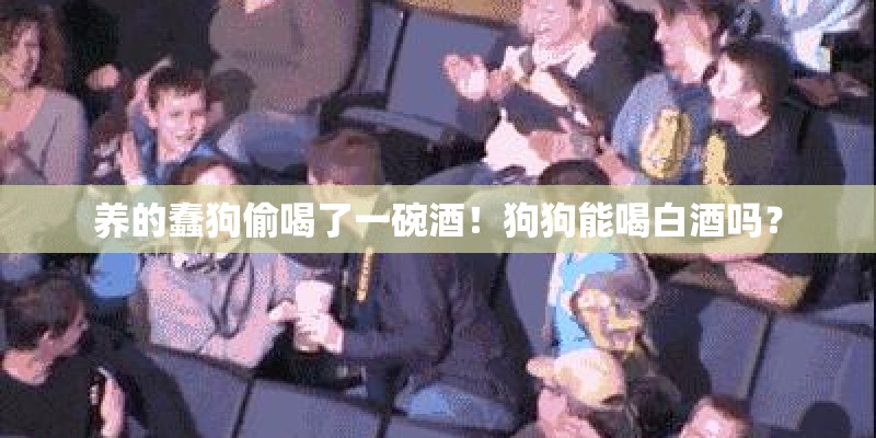 养的蠢狗偷喝了一碗酒！狗狗能喝白酒吗？