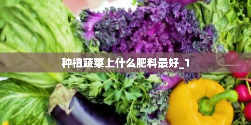 种植蔬菜上什么肥料最好_1