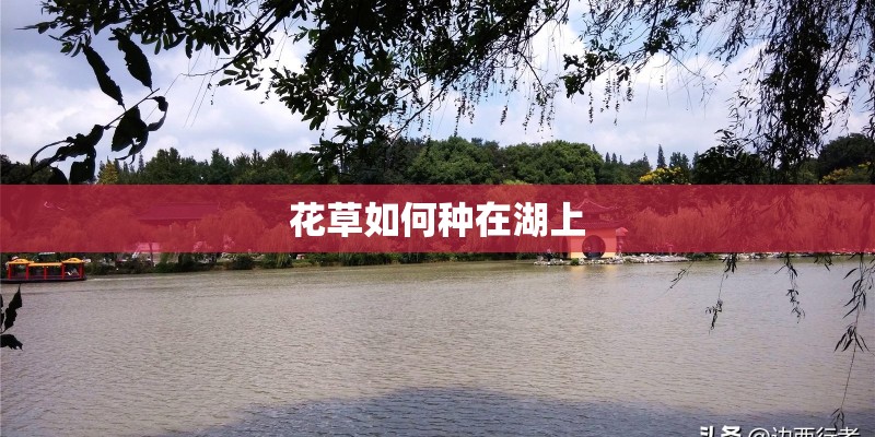 花草如何种在湖上