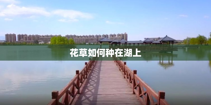 花草如何种在湖上