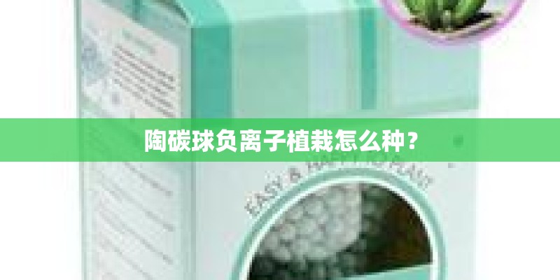 陶碳球负离子植栽怎么种？