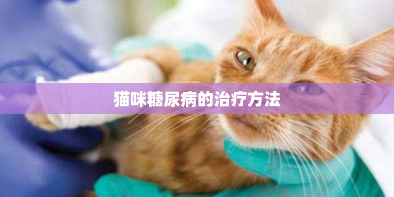 猫咪糖尿病的治疗方法