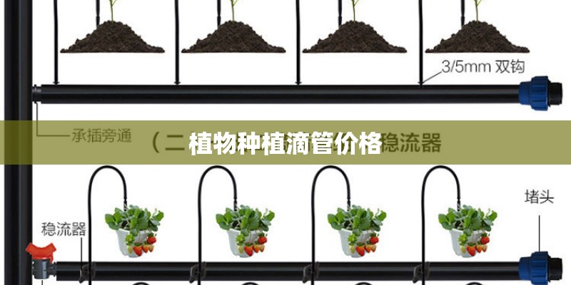 植物种植滴管价格