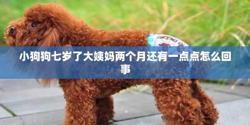 小狗狗七岁了大姨妈两个月还有一点点怎么回事