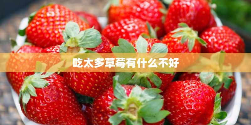 吃太多草莓有什么不好