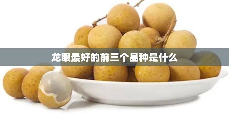 龙眼最好的前三个品种是什么