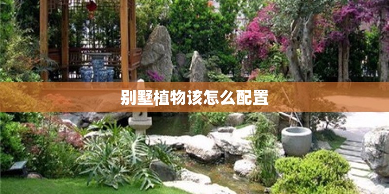 别墅植物该怎么配置