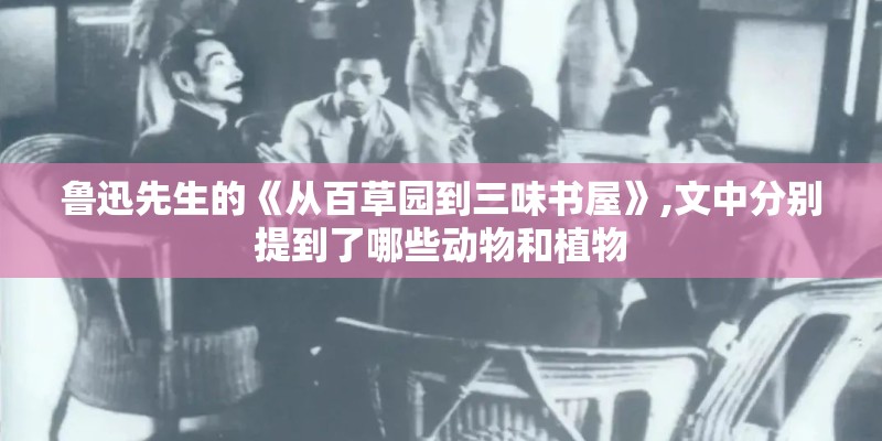 鲁迅先生的《从百草园到三味书屋》,文中分别提到了哪些动物和植物