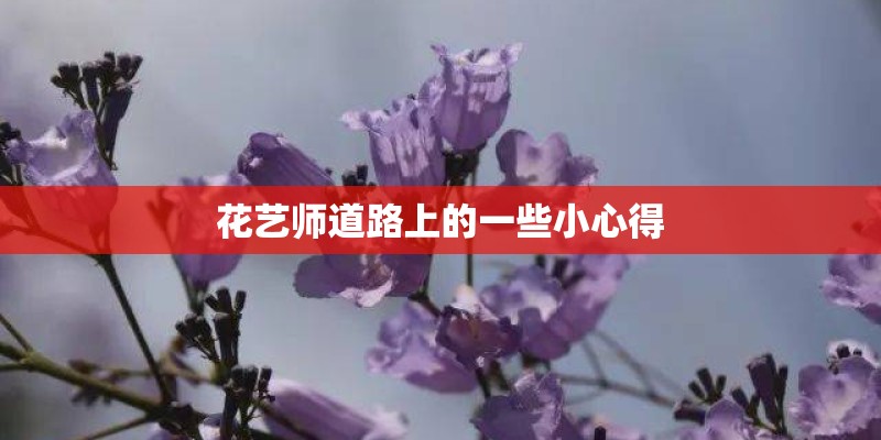 花艺师道路上的一些小心得