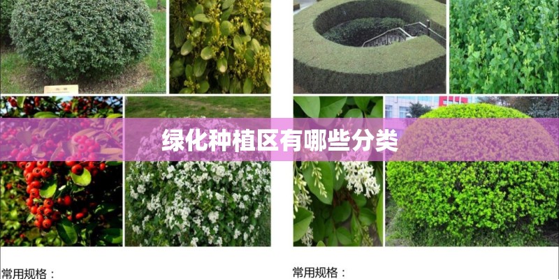 绿化种植区有哪些分类