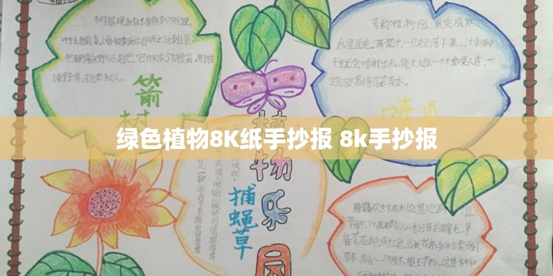 绿色植物8K纸手抄报 8k手抄报