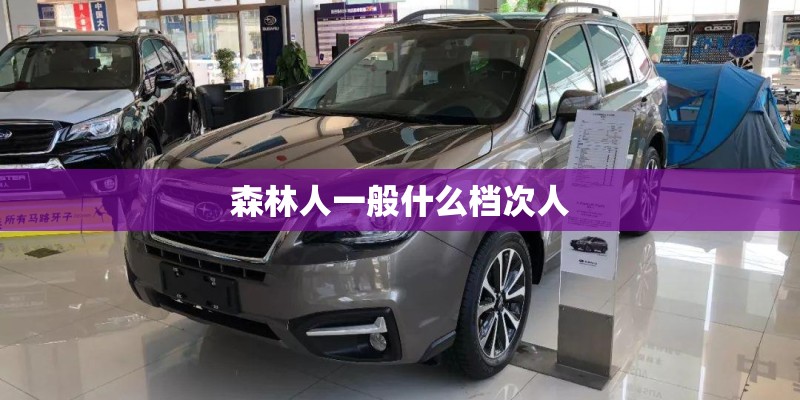 森林人一般什么档次人