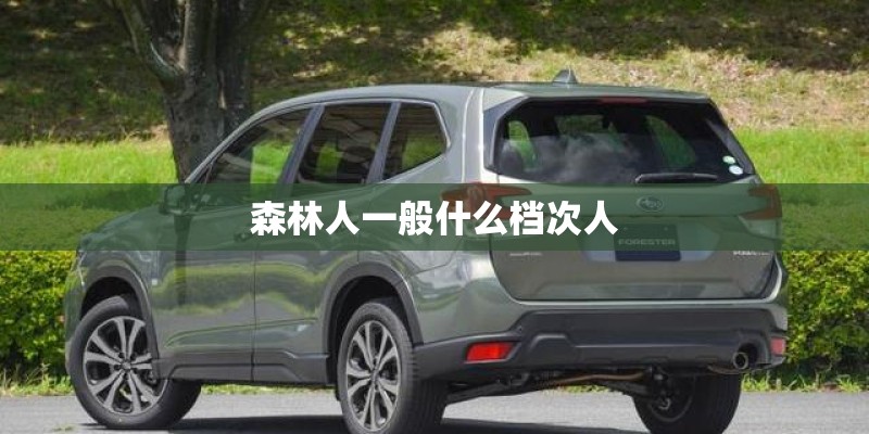 森林人一般什么档次人