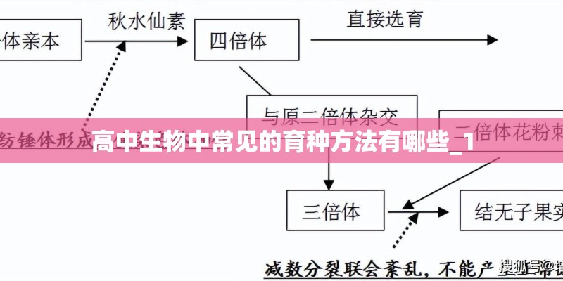 高中生物中常见的育种方法有哪些_1