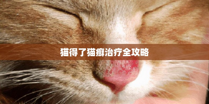 猫得了猫癣治疗全攻略