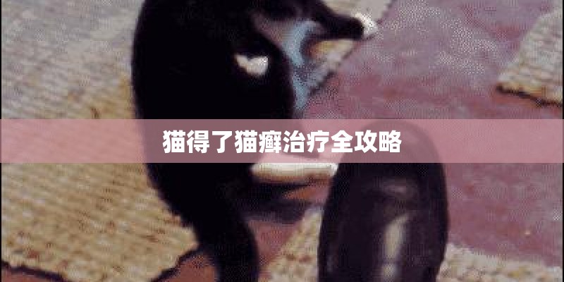 猫得了猫癣治疗全攻略