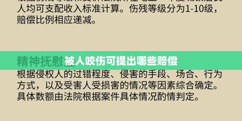 被人咬伤可提出哪些赔偿