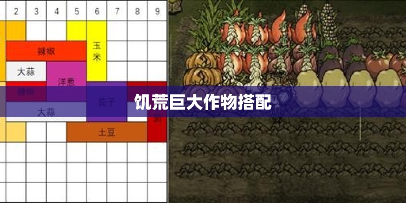 饥荒巨大作物搭配