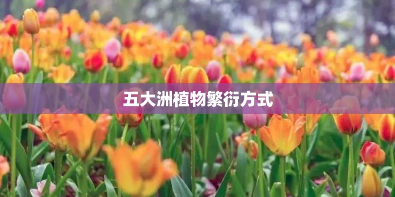 五大洲植物繁衍方式