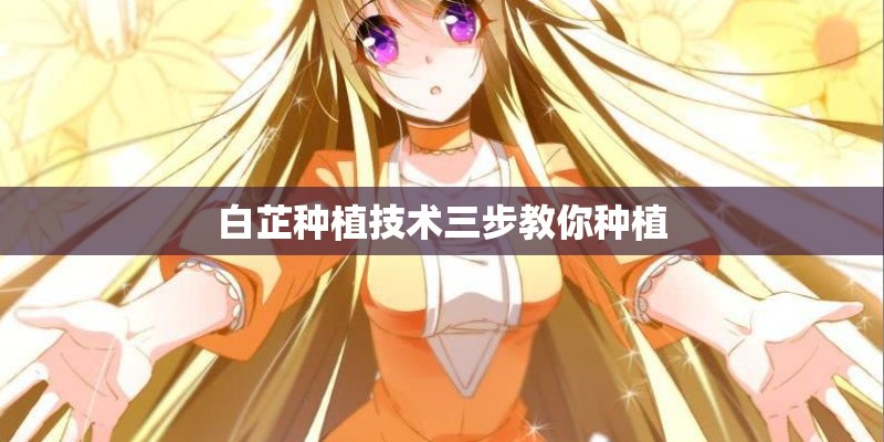 白芷种植技术三步教你种植