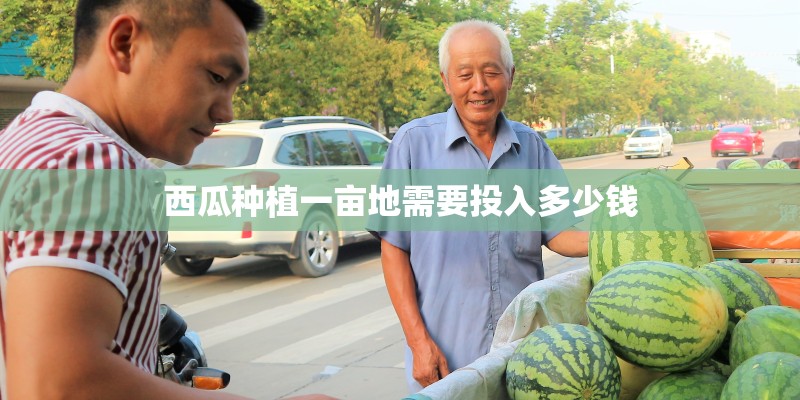 西瓜种植一亩地需要投入多少钱