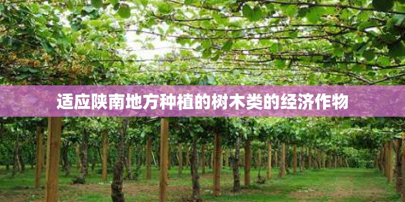 适应陕南地方种植的树木类的经济作物
