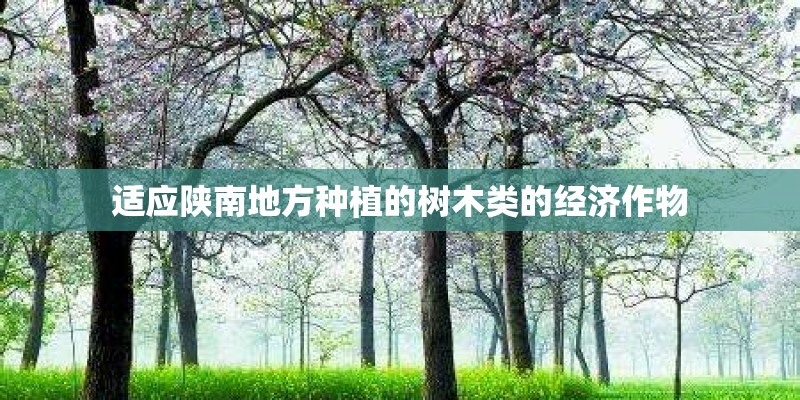 适应陕南地方种植的树木类的经济作物