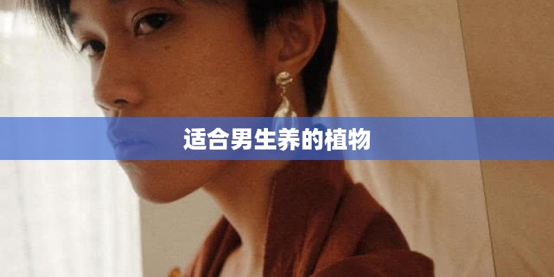 适合男生养的植物