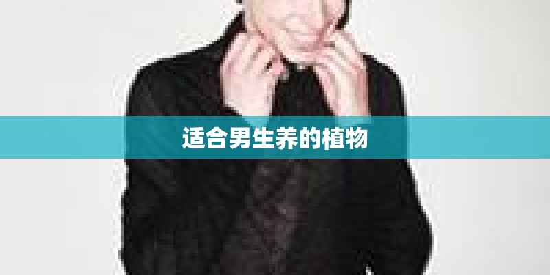 适合男生养的植物